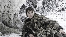 Bran Stark, kterého hraje Isaac Hempstead Wright. Bran Stark, kterého hraje Isaac Hempstead Wright.
