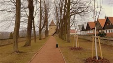 Alej na valu po revitalizaci Alej na valu po revitalizaci