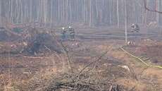 Hasiči zasahovali u rozsáhlého požáru lesa na Bruntálsku. (1. dubna 2019) Hasiči zasahovali u rozsáhlého požáru lesa na Bruntálsku. (1. dubna 2019)