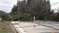 Dopravu na D1 u Jihlavy zastavily popadané stromy. Dopravu na D1 u Jihlavy zastavily popadané stromy.