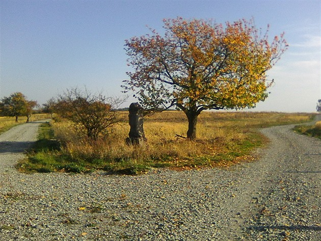 Staré jablon v Geoparku Ralsko