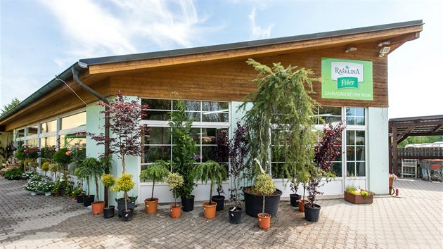Krásné květinové vazby a balkónové rostliny v zahradním centru Fišer Krásné květinové vazby a balkónové rostliny v zahradním centru Fišer