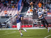 Lions vyráží v Paddock lize do Plzně