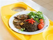 Podobná jídla chce olomoucká fakultní nemocnice nabízet hospitalizovaným... Podobná jídla chce olomoucká fakultní nemocnice nabízet hospitalizovaným...