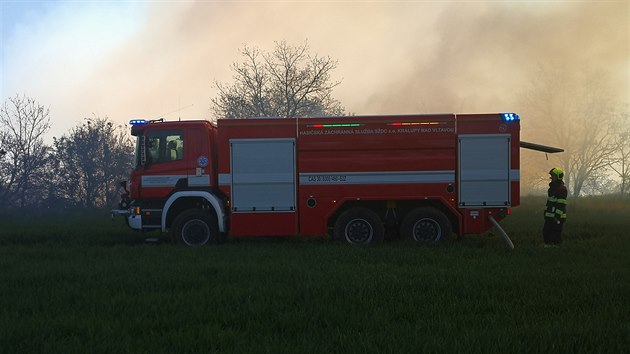 U poru lesnho porostu u ee u Prahy zasahuje dvanct jednotek hasi (19. dubna 2019).