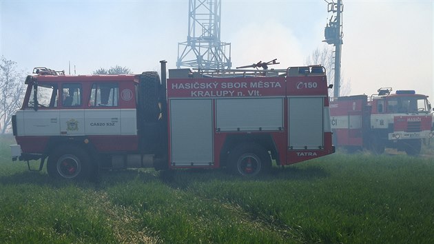 U poru lesnho porostu u ee u Prahy zasahuje dvanct jednotek hasi (19. dubna 2019).