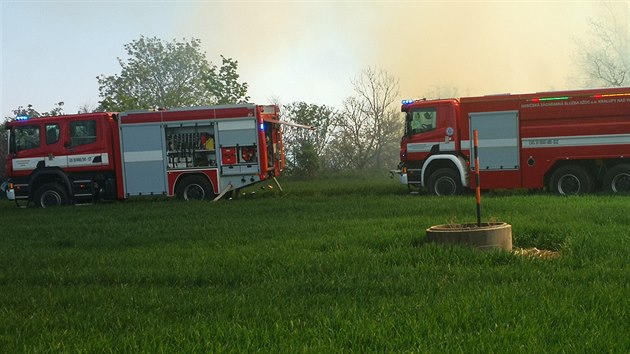 U poru lesnho porostu u ee u Prahy zasahuje dvanct jednotek hasi (19. dubna 2019).