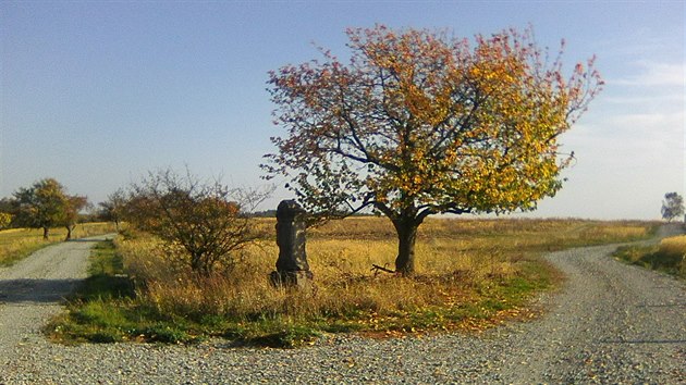Star jablon v Geoparku Ralsko