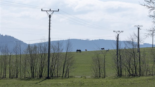 Silnice m zlepit dostupnost turistickch atraktivit v oblasti masivu Krlickho Snnku, a to jak na esk, tak polsk stran.