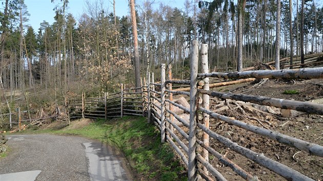 Fotografie jednoho z mst olomouck zoologick zahrady na Svatm Kopeku pot, co ji poniila v polovin bezna 2019 vichice.