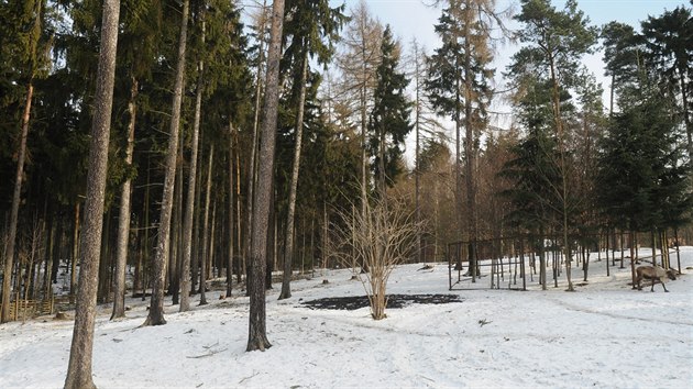 Fotografie jednoho z mst olomouck zoologick zahrady na Svatm Kopeku pedtm, ne ji poniila v polovin bezna 2019 vichice.