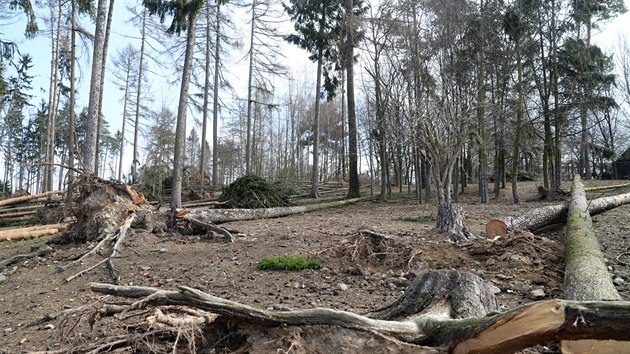 Fotografie jednoho z mst olomouck zoologick zahrady na Svatm Kopeku pot, co ji poniila v polovin bezna 2019 vichice.