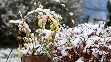 Sníh o víkendu zaskočil obyvatele Žďárska (14. 4. 2019). Sníh o víkendu zaskočil obyvatele Žďárska (14. 4. 2019).