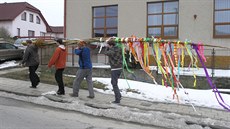 Aktuálně drží rekord parta koledníků z obce Silůvky, kde pod dohledem komisařů... Aktuálně drží rekord parta koledníků z obce Silůvky, kde pod dohledem komisařů...