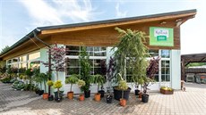 Krásné květinové vazby a balkónové rostliny v zahradním centru Fišer Krásné květinové vazby a balkónové rostliny v zahradním centru Fišer