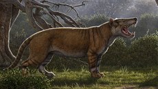 Simbakubwa kutokaafrika ve svahilštině znamená „velký africký lev“. Simbakubwa kutokaafrika ve svahilštině znamená „velký africký lev“.