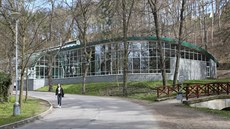 Krytý plavecký bazén je pro ptáky v Havlíčkově Brodě podle ornitologů největším... Krytý plavecký bazén je pro ptáky v Havlíčkově Brodě podle ornitologů největším...
