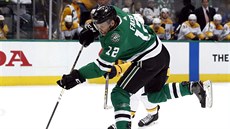 Radek Faksa z Dallasu útočí v duelu s Nashvillem. Radek Faksa z Dallasu útočí v duelu s Nashvillem.