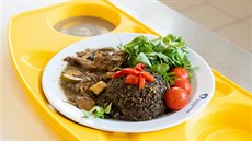 Podobná jídla chce olomoucká fakultní nemocnice nabízet hospitalizovaným... Podobná jídla chce olomoucká fakultní nemocnice nabízet hospitalizovaným...