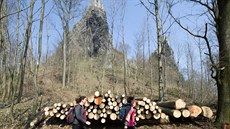 Kácení odkrylo skály pod Troskami, což prospělo rostlinám a živočichům. Pomůže... Kácení odkrylo skály pod Troskami, což prospělo rostlinám a živočichům. Pomůže...