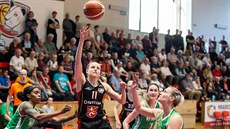 Momentka z duelu basketbalistek Hradce Králové (erná) a KP Brno