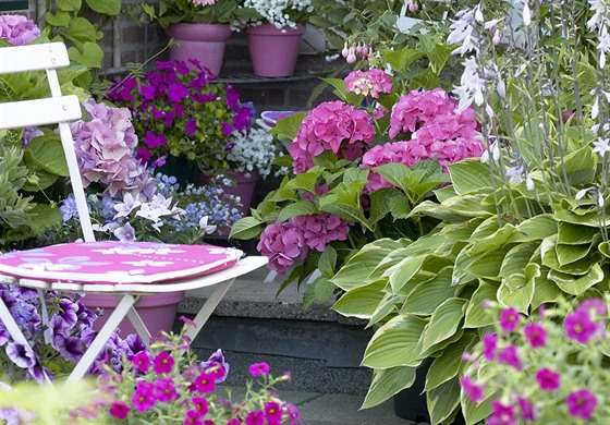 V zimn zahrad i na terase vm v sezon mohou dlat spolenost nejen tradin...