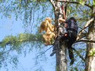 Před Komunitním centrem Kampa je nyní na bříze umístěn muzikant ze slámy. Každé pondělí však hrají živí Muzikanti z Kampy. Před Komunitním centrem Kampa je nyní na bříze umístěn muzikant ze slámy. Každé pondělí však hrají živí Muzikanti z Kampy.