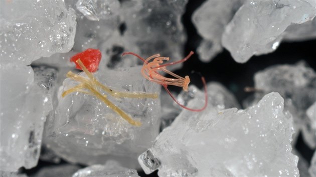Mikroplasty jsou přítomné prakticky všude - zde v podobě polyesterových... Mikroplasty jsou přítomné prakticky všude - zde v podobě polyesterových...