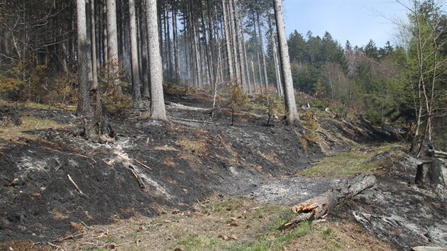 Vznikl koda je asi 10 tisc korun. (20. dubna 2019)