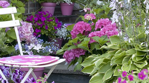 V zimn zahrad i na terase vm v sezon mohou dlat spolenost nejen tradin kvetouc truhlky, ale i kvetouc hortenzie, zvonky i bohyky. 
