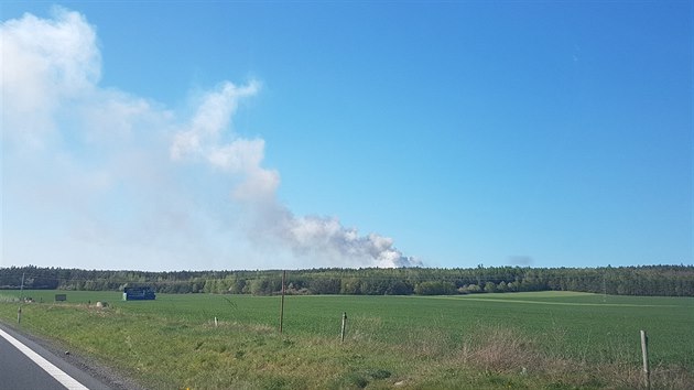 Na severnm okraji Plzn smrem na vrch Krkavec ho les. (22. 4. 2019)