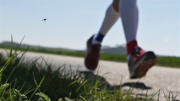 Extrmn sportovec tpn Dvok b z nejvchodnjho bodu bvalho eskoslovenska na nejzpadnj. Trasu dlouhou pes tisc kilometr chce urazit za osm dn. Ve tvrtek se dostal na Vysoinu a pekonal tm svj dosavadn beck rekord 666 kilometr. Po trase se k nmu me kdokoliv pidat.