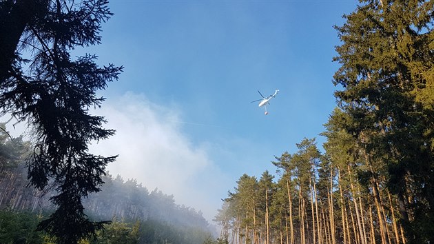 Na severnm okraji Plzn za sdlitm Lochotn smrem na vrch Krkavec ho chotkovsk les. Por se stle  a to i v korunch strom. Na mst zasahuj destky hasi.