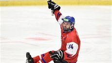 Český parahokejista Michal Geier slaví gól v duelu proti Švédsku. Český parahokejista Michal Geier slaví gól v duelu proti Švédsku.