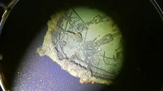 Pátrací tým expertů objevil u břehů jihovýchodní Austrálie vrak australské... Pátrací tým expertů objevil u břehů jihovýchodní Austrálie vrak australské...