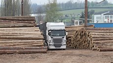 V lesích se těží násobně více dřeva, to je potom potřeba odvézt. Cestou ke... V lesích se těží násobně více dřeva, to je potom potřeba odvézt. Cestou ke...