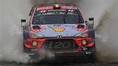 Thierry Neuville a Nicolas Gilsoul během Argentinské rallye Thierry Neuville a Nicolas Gilsoul během Argentinské rallye