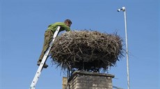 Ošetřovatelé museli po úhynu čapího samce v Bartošovicích na komín. Vejce z... Ošetřovatelé museli po úhynu čapího samce v Bartošovicích na komín. Vejce z...