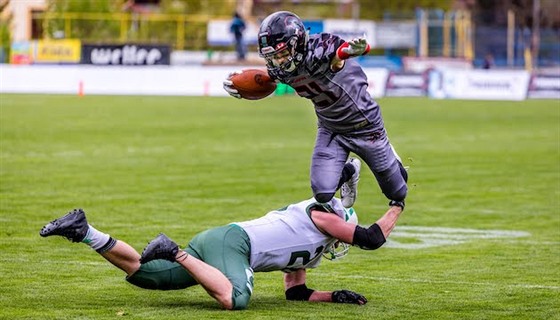 Gladiators peválcovali Aligátory, vítzství slaví i Pardubice a Prague Lions