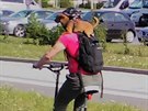 Vyfoceno na Letné 25.4.2019. Vyfoceno na Letné 25.4.2019.