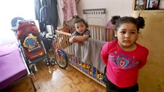 Zhruba stovce obyvatel brněnské ubytovny v Olomoucké ulici hrozí vystěhování. Zhruba stovce obyvatel brněnské ubytovny v Olomoucké ulici hrozí vystěhování.