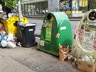 Obrovský nepořádek u kontejnerů poblíž metra Jiřího z Poděbrad Obrovský nepořádek u kontejnerů poblíž metra Jiřího z Poděbrad