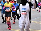 Dnes se konal Volkswagen Maraton Praha. Jednalo se o jubilejní 25. ročník této akce. Závodu se zúčastnilo přes deset tisíc běžců.
Dnes se konal Volkswagen Maraton Praha. Jednalo se o jubilejní 25. ročník této akce. Závodu se zúčastnilo přes deset tisíc běžců.