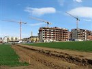 Mezi Barrandovem a Holyní ubývají pole, na kterých se pěstuje obilí. To s těmi pracemi nemohli počkat, až bude už vzrostlé obilí sklizeno? Mezi Barrandovem a Holyní ubývají pole, na kterých se pěstuje obilí. To s těmi pracemi nemohli počkat, až bude už vzrostlé obilí sklizeno?