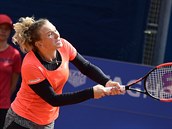 Tenisov turnaj en J&T Banka Prague Open. Kateina Siniakov v utkn proti...