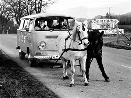 Ropná krize začala v polovině října 1973 a postihla všechny spojence Izraele v...