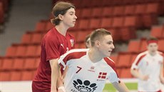 Český juniorský florbalista Matěj Havlas (vlevo) v duelu s Dánskem. Český juniorský florbalista Matěj Havlas (vlevo) v duelu s Dánskem.