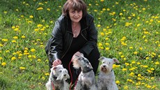 Zuzana Nosková s fenkami knírače, které v rámci canisterapie pomáhají pacientům... Zuzana Nosková s fenkami knírače, které v rámci canisterapie pomáhají pacientům...