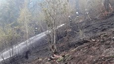 Hasiči likvidují na Tanvaldském Špičáku rozsáhlý požár lesa. (8. května 2019) Hasiči likvidují na Tanvaldském Špičáku rozsáhlý požár lesa. (8. května 2019)