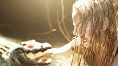 Trailer filmu Kořist Trailer filmu Kořist